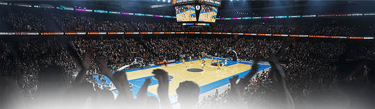 Arena de jogo de basquete